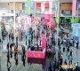 2026年南京秋糖,第115届秋季全国糖酒会参展品牌与展团名录荣耀发布。